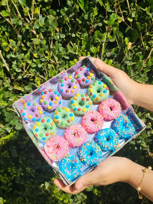 Kit  Mini Donuts Coloridos
